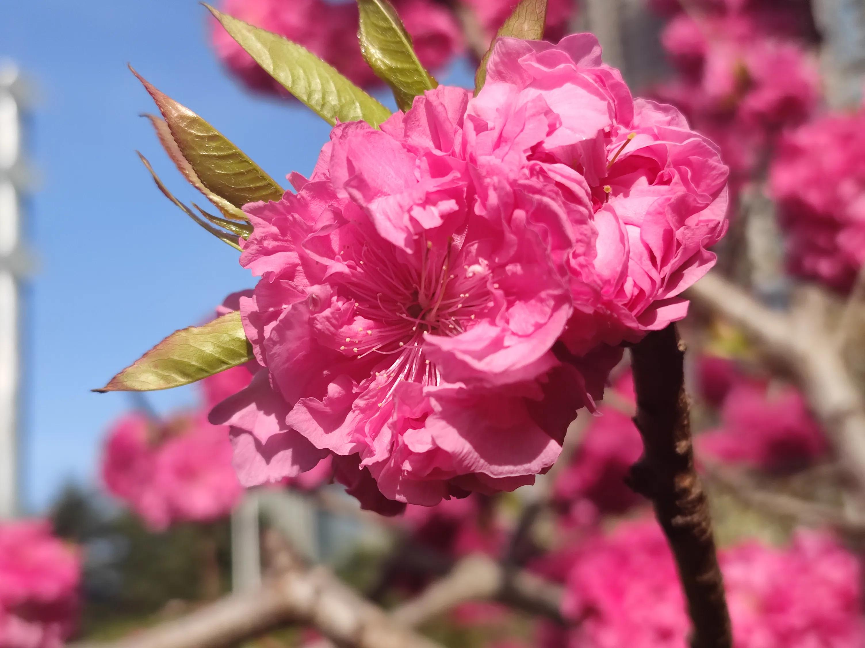 一节特别的什么课600字优秀作文,优秀作文有意义的一天300字