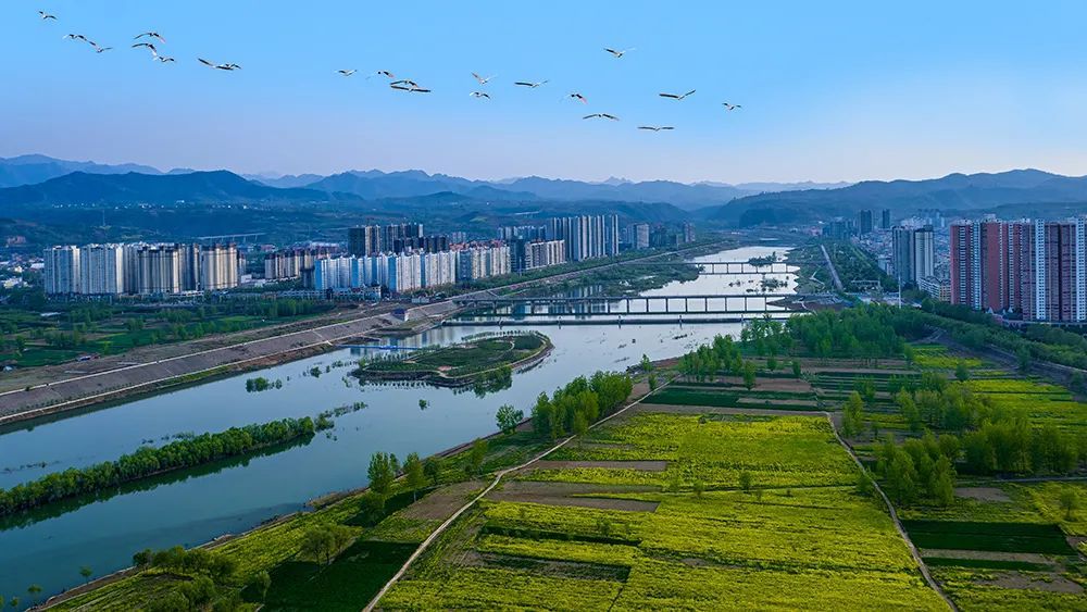 鐢ㄨ嚜宸辩殑鎴垮瓙鍋氳嚜浣忓紡姘戝缁忛獙,鑷鐨勬埧瀛愬紑姘戝鏀荤暐