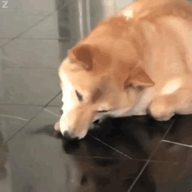 吴京和华为,吴京用苹果手机拍照事件评论