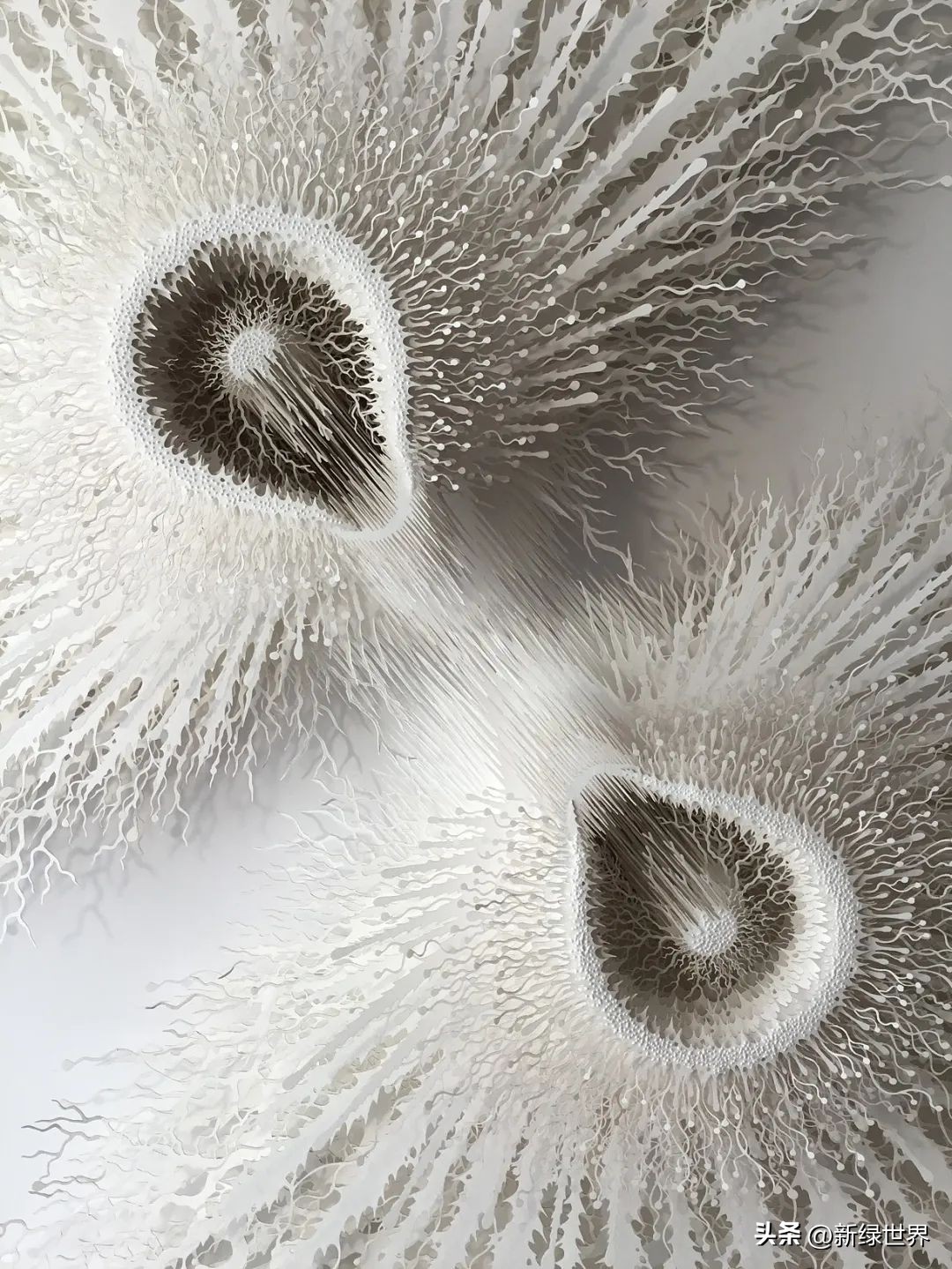 纸艺作品绘画,千变万化的纸艺术作品