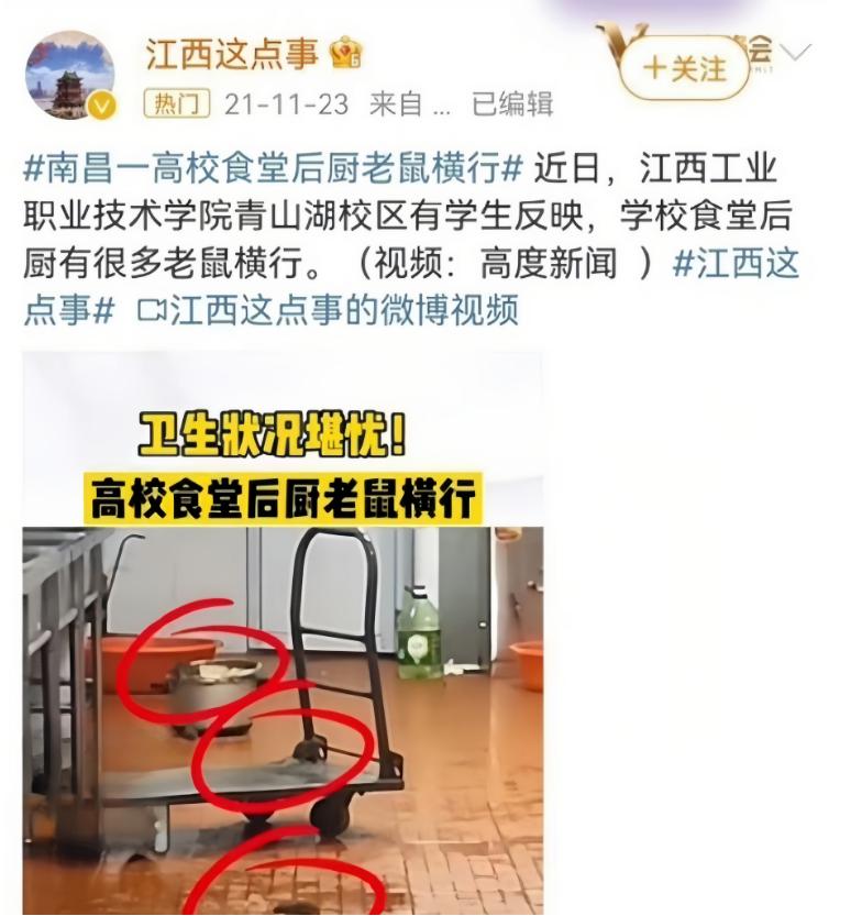 “鼠头鸭脖”事件网友举报,鼠头鸭脖涉事高校食堂