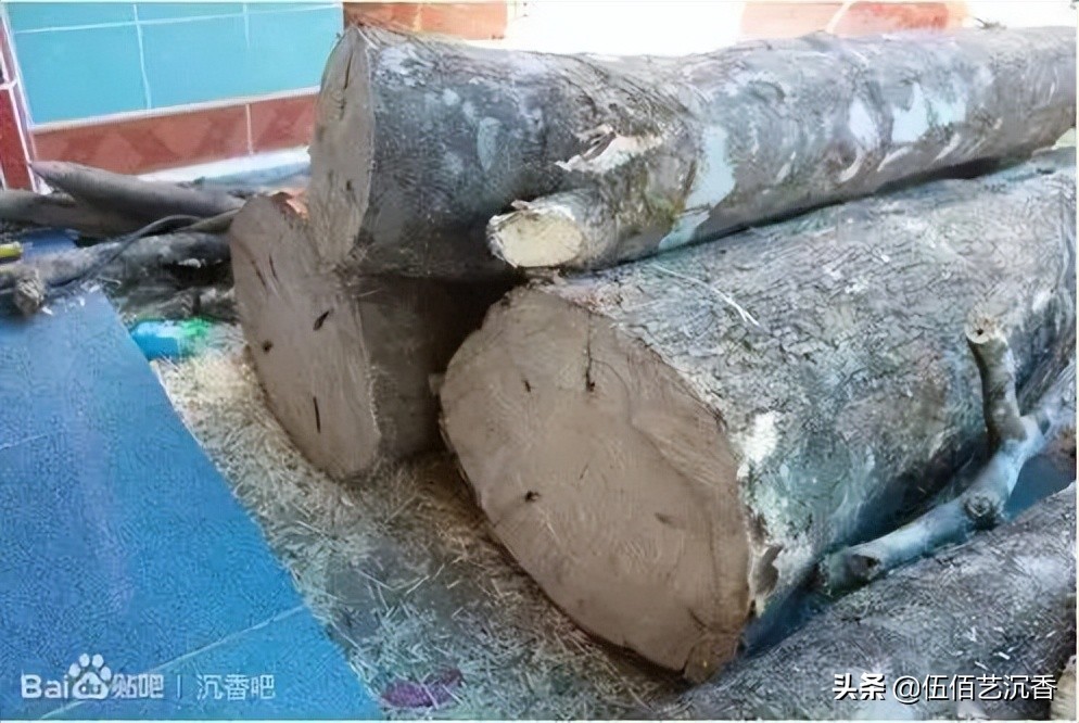 沉香造假最新视频,沉香造假的手法