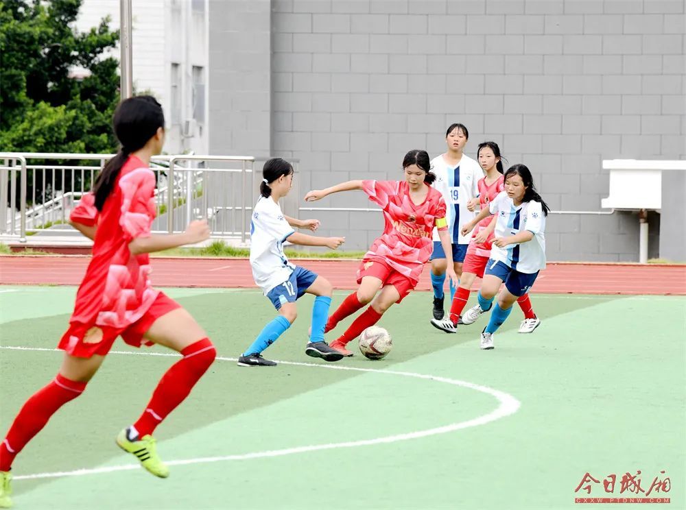 莆田百年白玉兰盛开,莆田花开花落