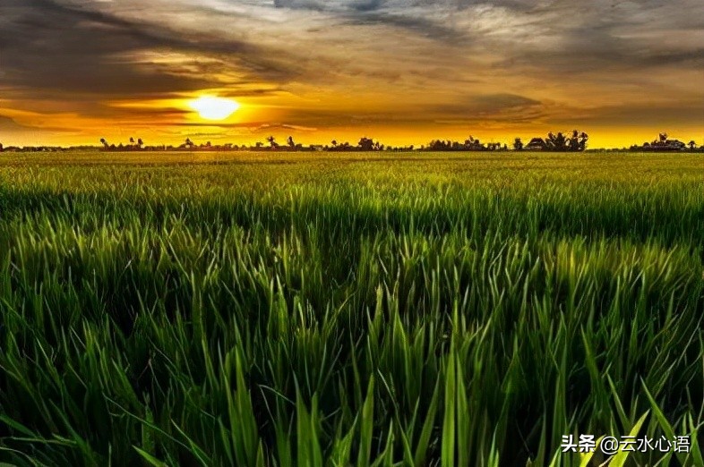 关于陆游的忧愁诗句,陆游最雄浑苍凉的一首诗