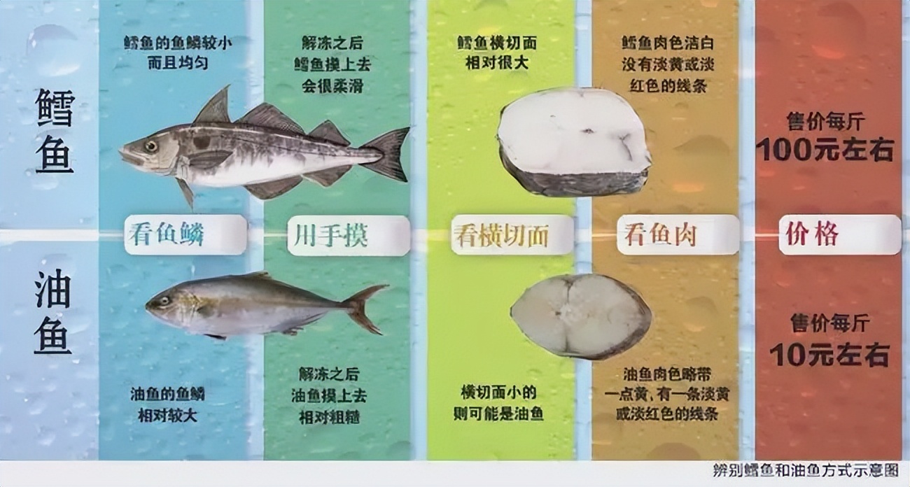 油鱼吃完后漏油的样子,油鱼有什么危害
