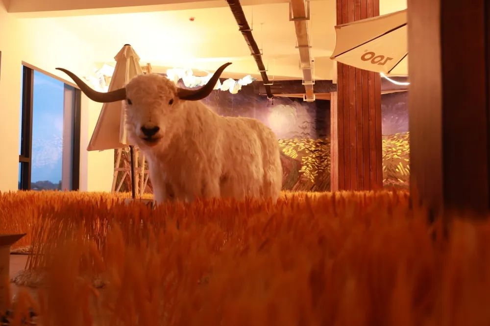 天府农博游玩心情,天府农业博览园一日游