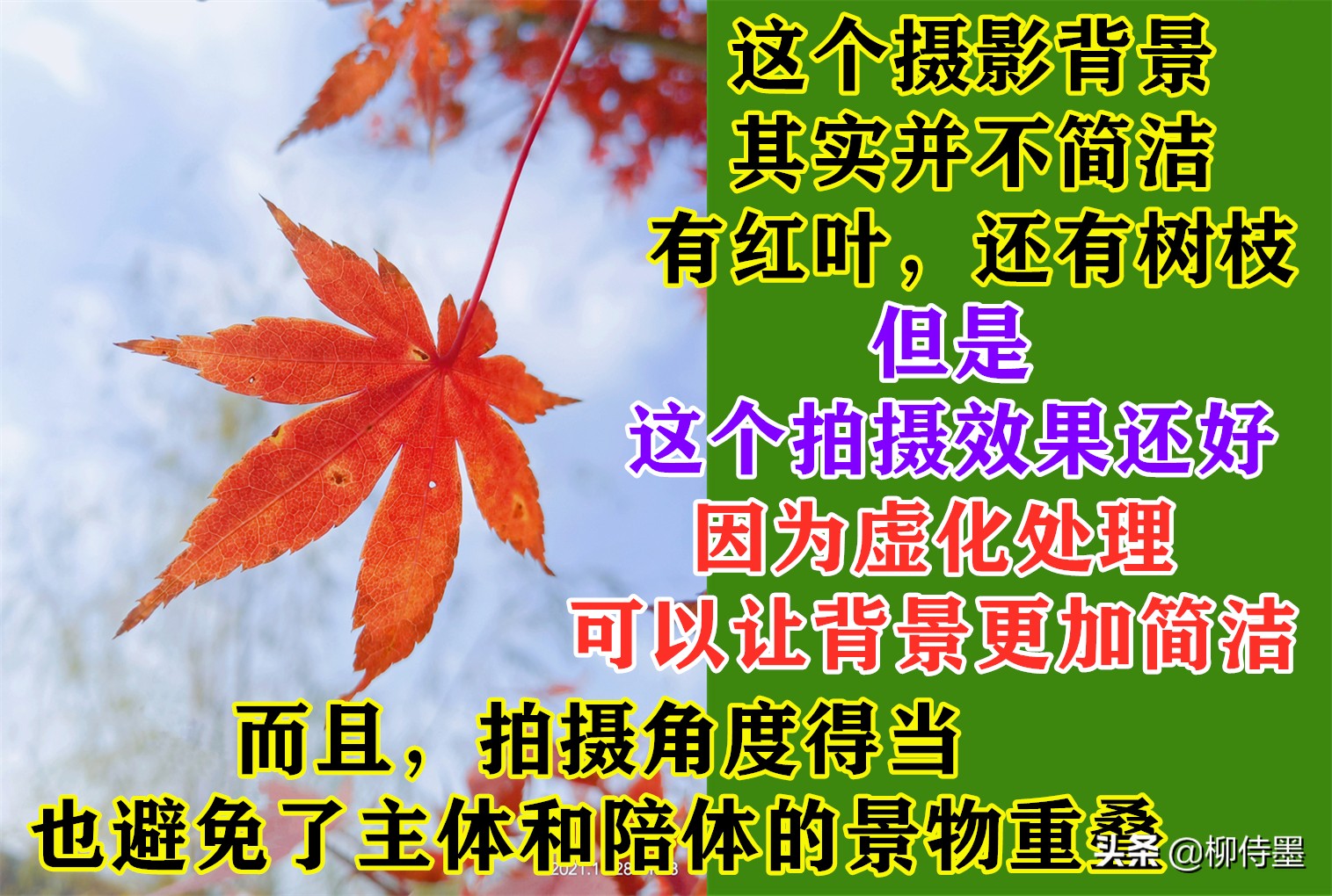 拍照不好看只要学会这些小技巧,摄影大师教你拍照技巧