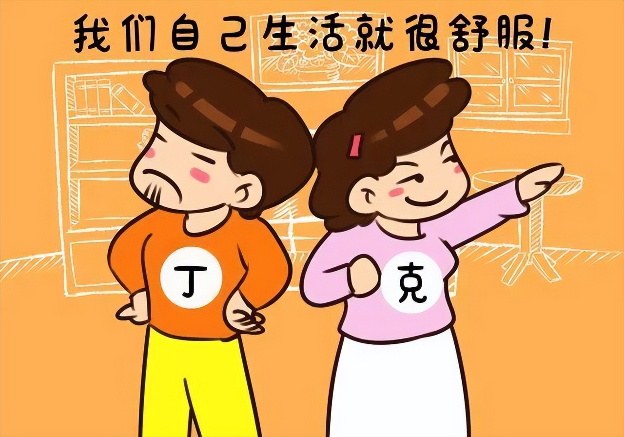 丁克意外怀孕电视剧,想要丁克的妻子突然怀孕了