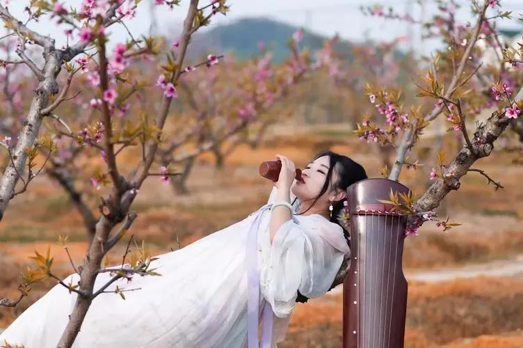 诗经桃夭的意思,诗经桃夭的意思是什么