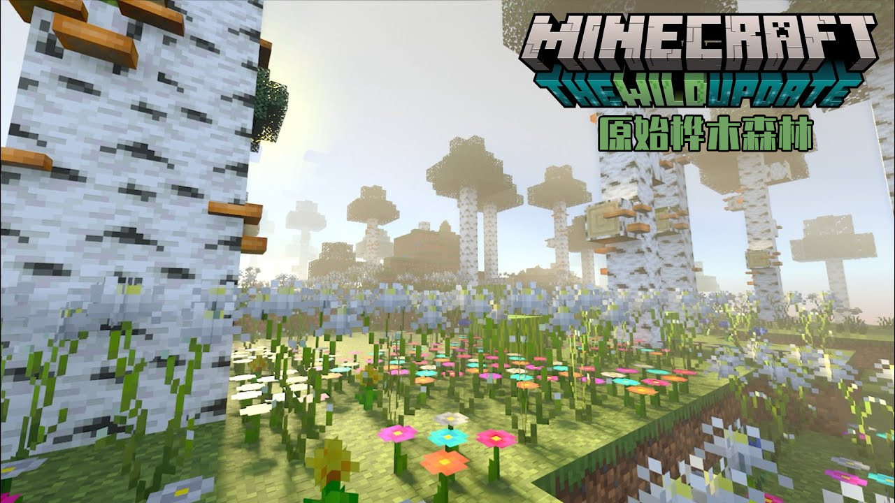 我的世界白桦森林,我的世界游戏原始森林攻略