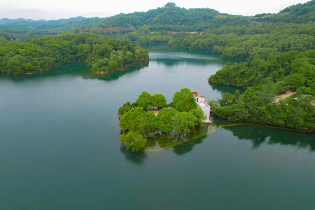 成都周边一日游露营烧烤好去处,成都周边春天适合野炊露营的地方