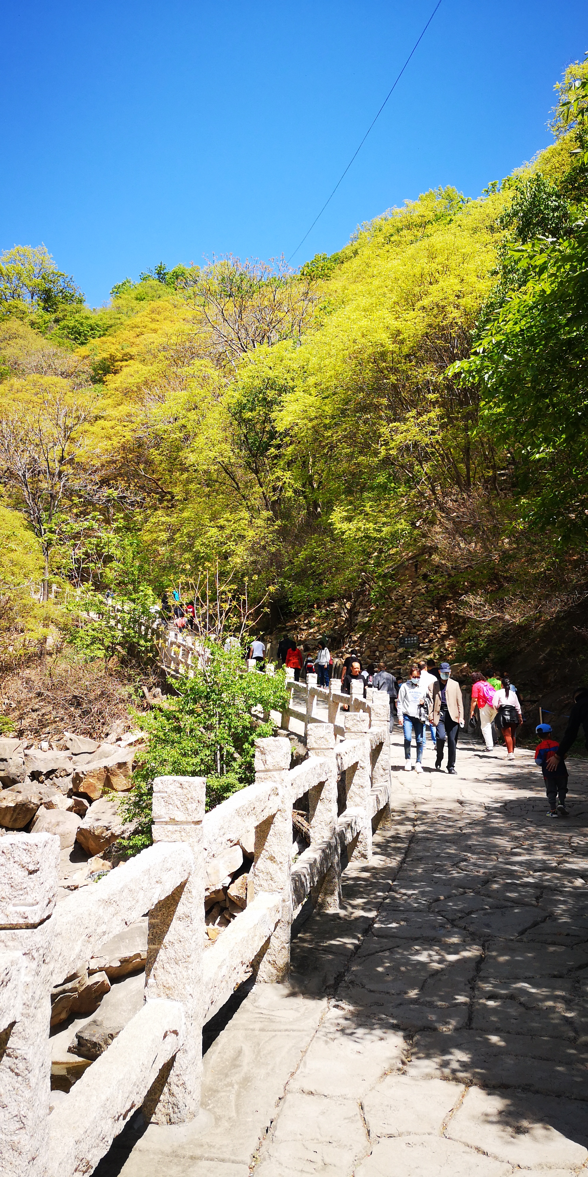 天津梨木台景区值得夏天去的地方,天津蓟县梨木台风景区路线