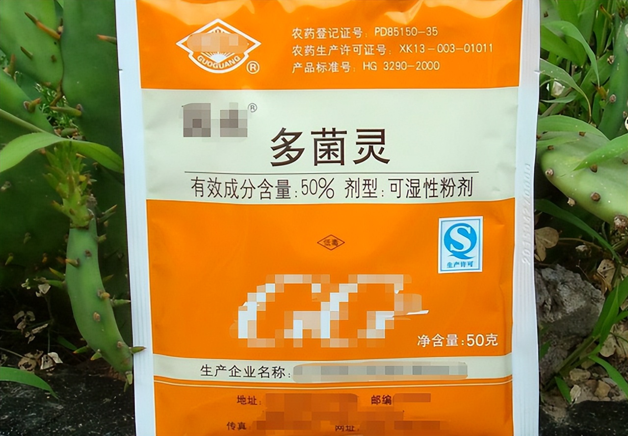 花养死了怎么移出花盆,花养死了怎么回事