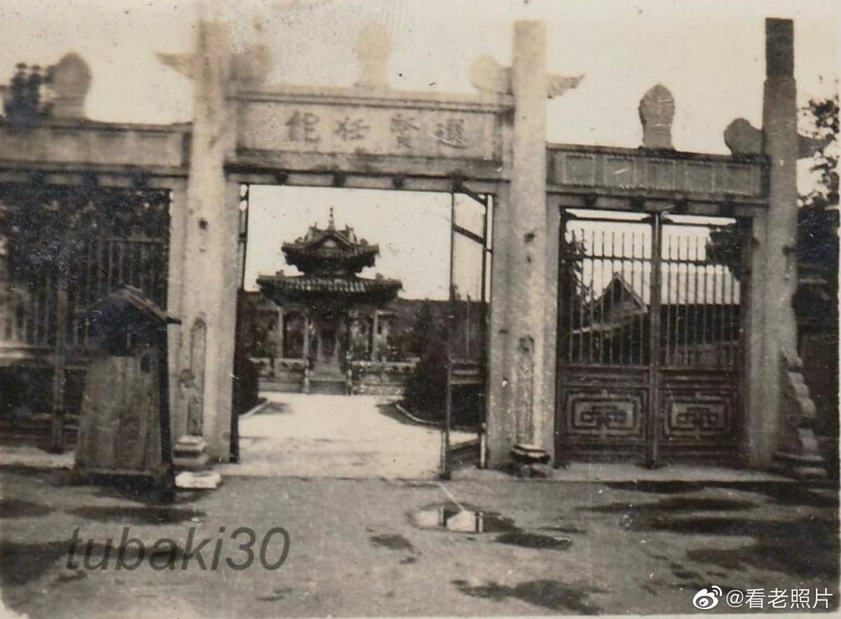 农村搞笑卖猪视频,80年代农民卖猪图片图文