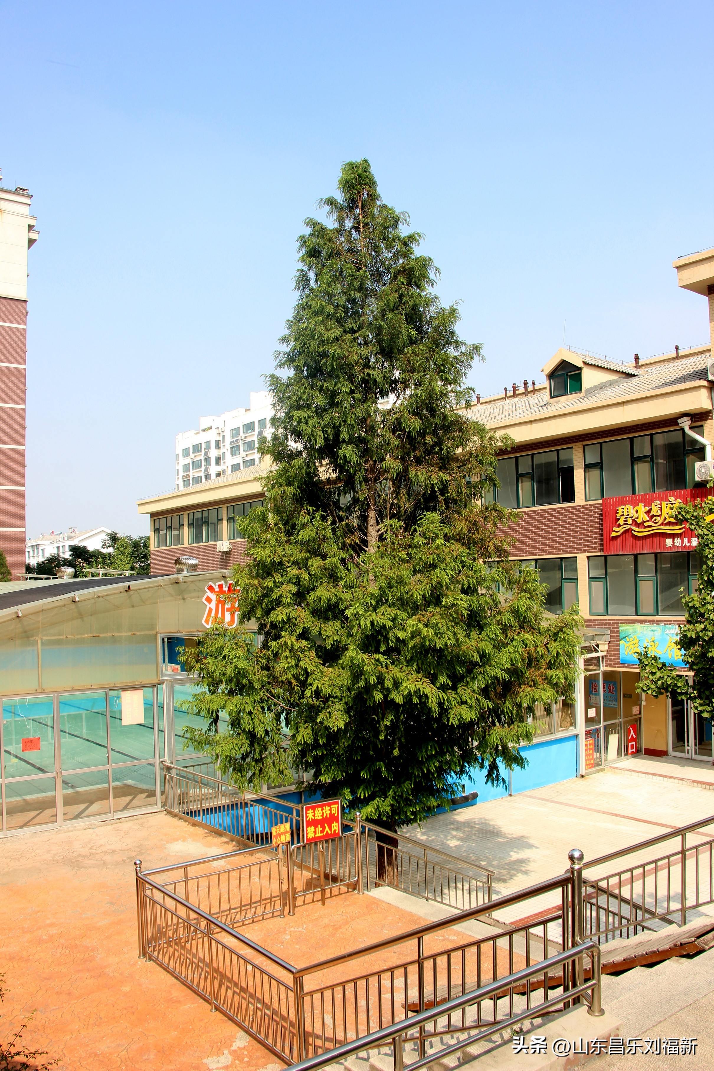 碧水龙庭深圳7栋4单元,顺光风景片拍摄