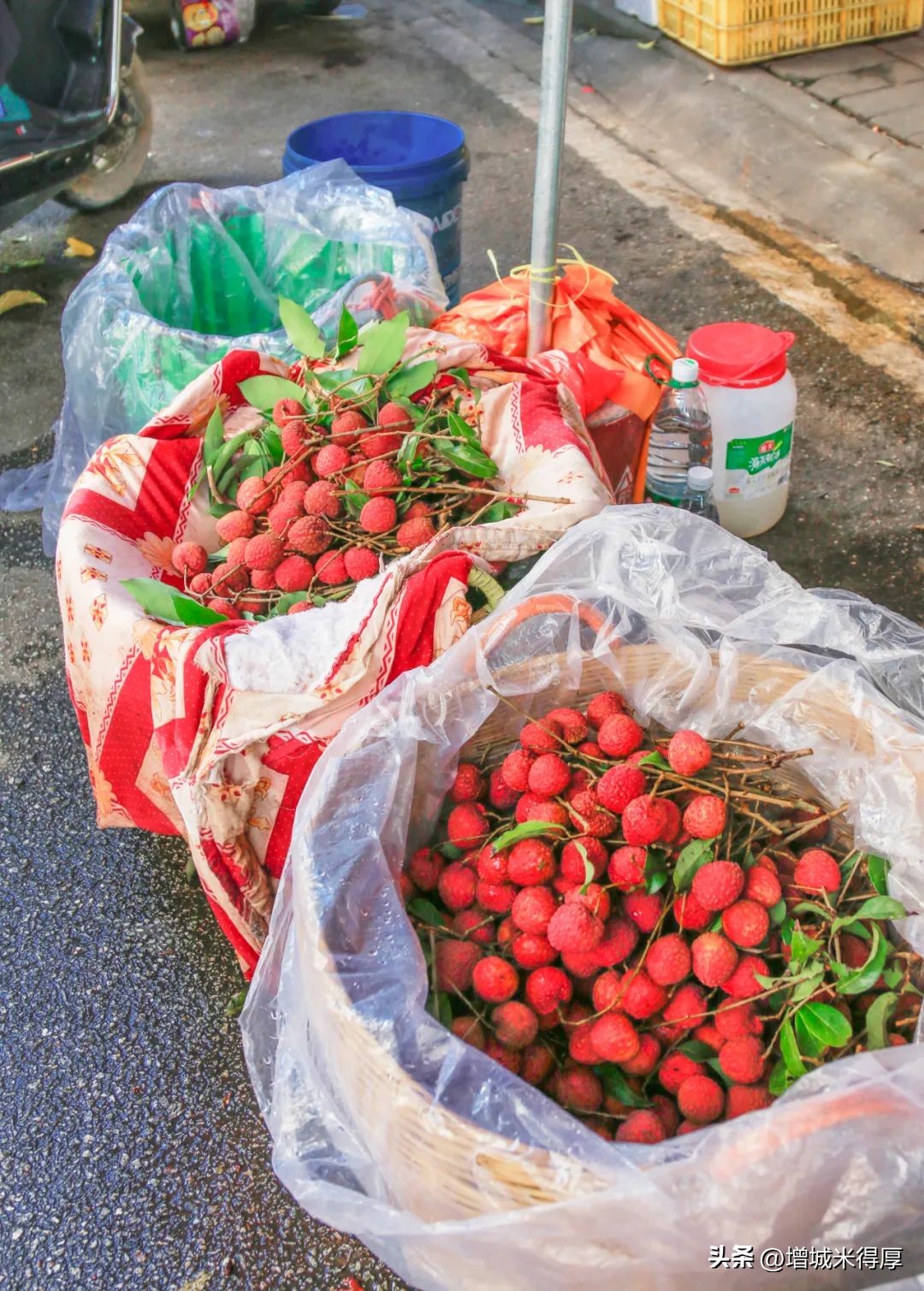 增城有什么自然风光和特产,增城著名的特色文化有哪些