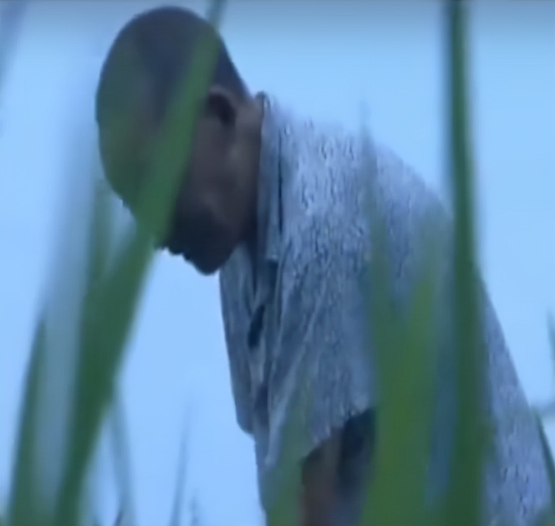 稻田惊现不明生物行动诡异,大山深处不明生物真相大揭秘