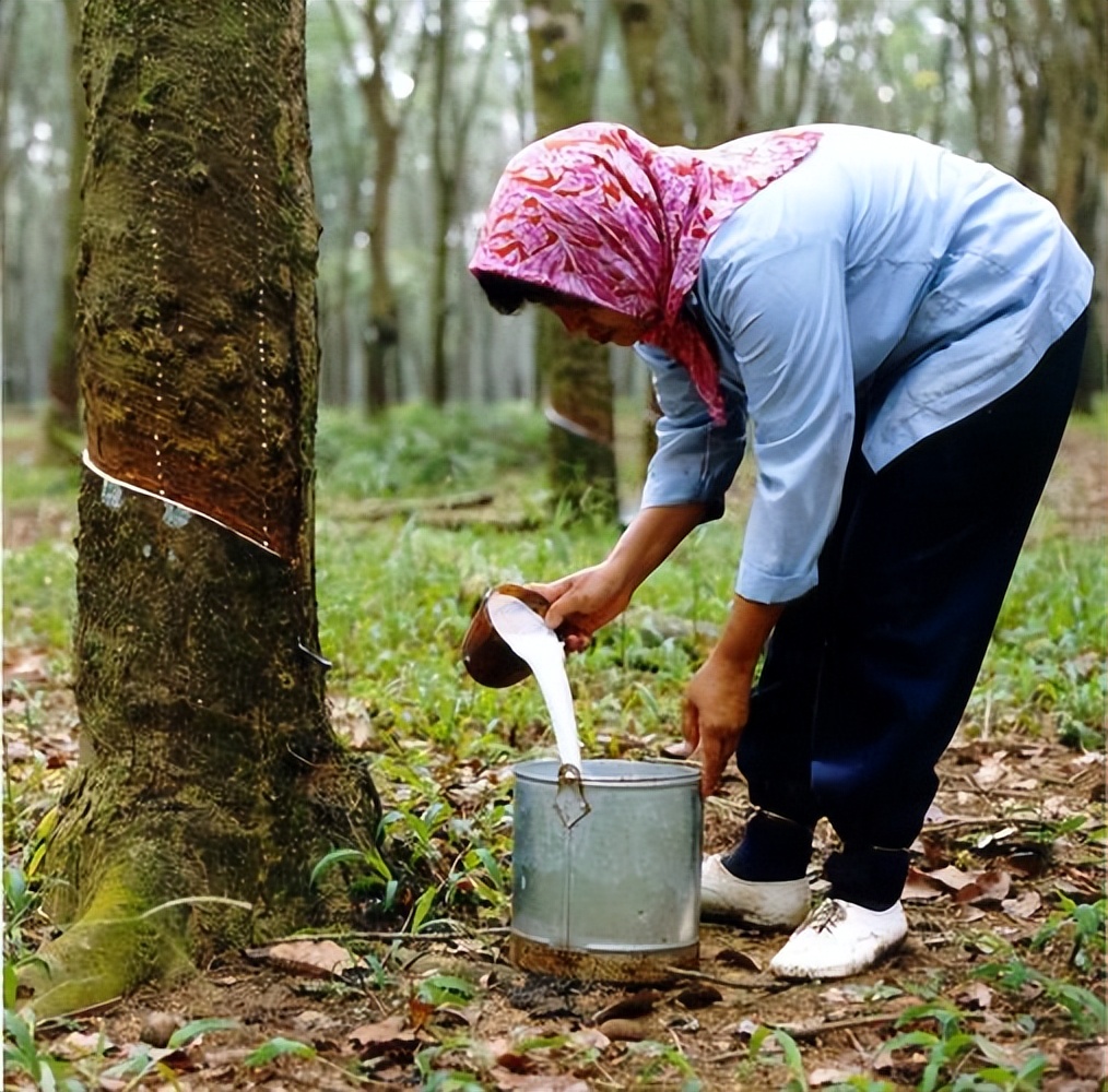 颠覆传统贸易的天然橡胶交易平台——营力胶易
