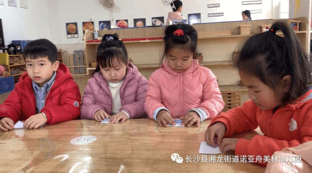 诺亚舟美林幼儿园CASA-A班蒙氏日常《折纸》