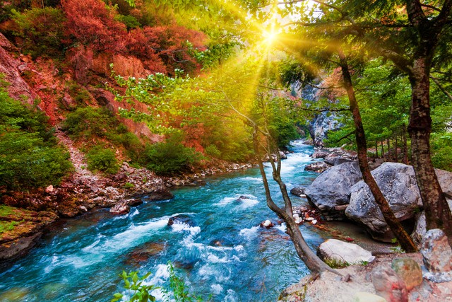 建筑师修不了床腿，发挥优势，打破常规。