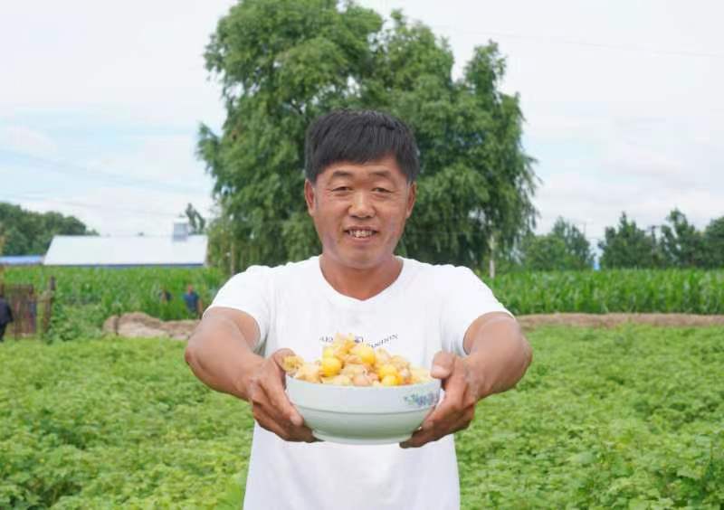 乡村振兴看安化,白城市平台镇乡村振兴