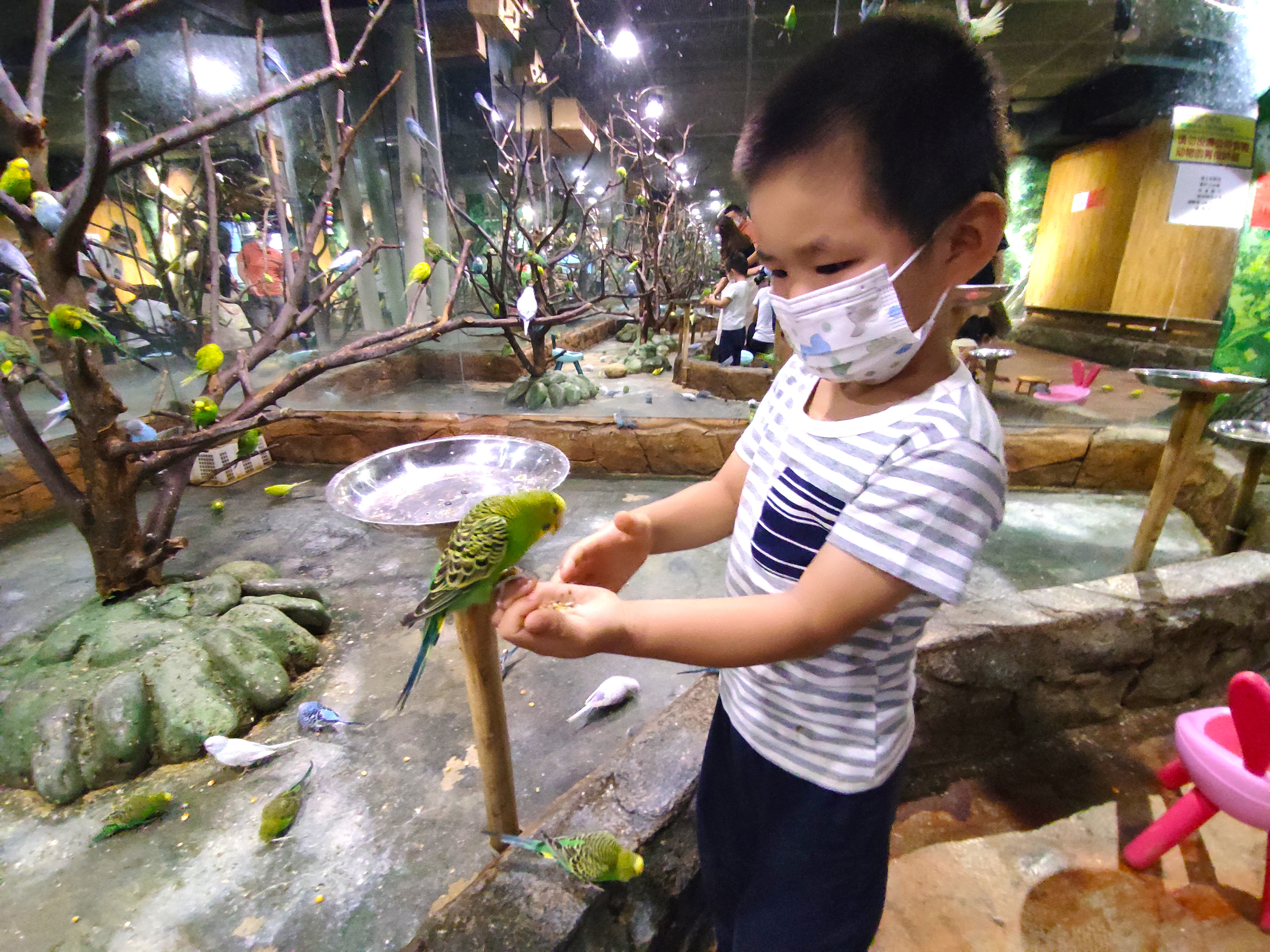 北京海底世界旅游区,北京海底世界游玩攻略