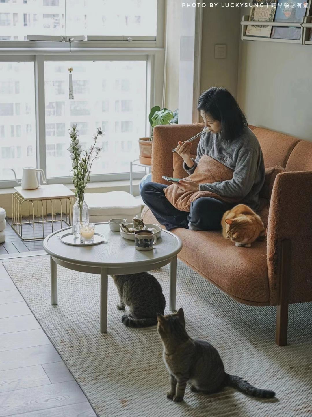 她丁克7年，75㎡的房子越住越大：不完美、不合理，但我喜欢