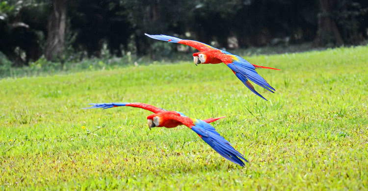 广州长隆欢乐世界酒店游玩,广州长隆欢乐世界熊猫酒店