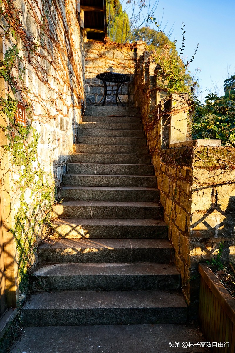 福州有哪些特色玩的,福州市区游玩攻略