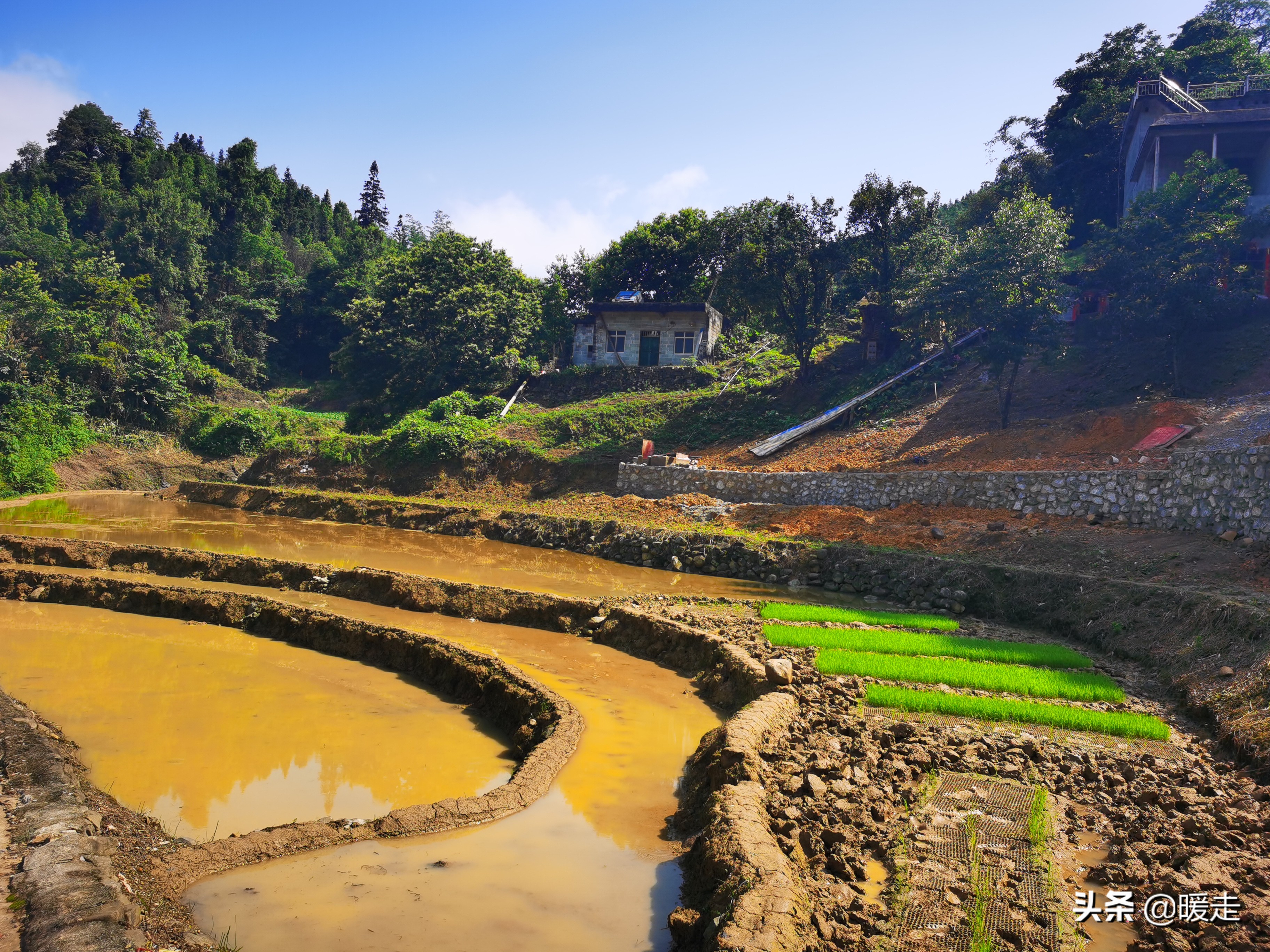 广西农民种田,乡村种田的生活视频