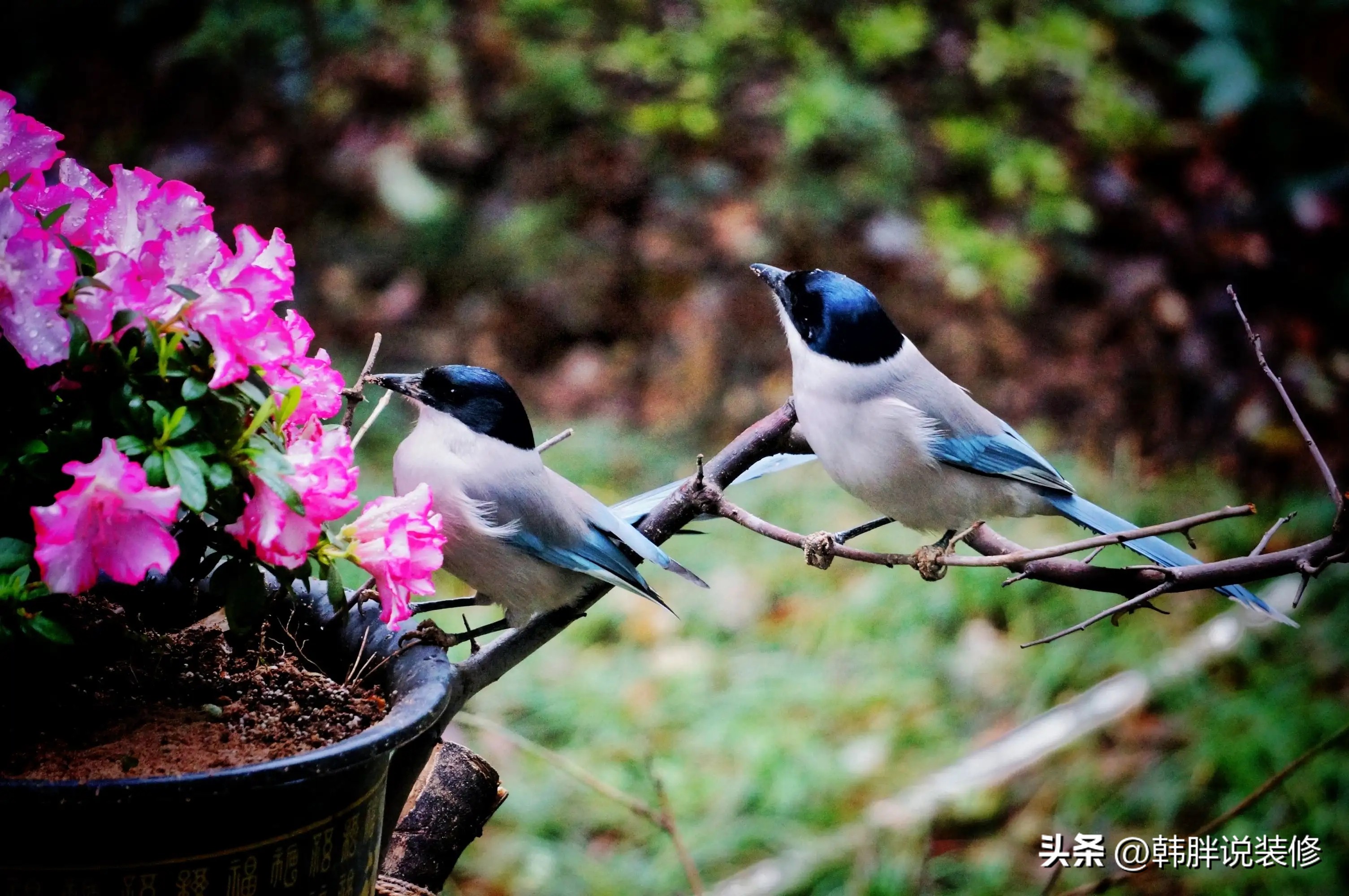 常言道后面一句是什么,常言道后半句是什么
