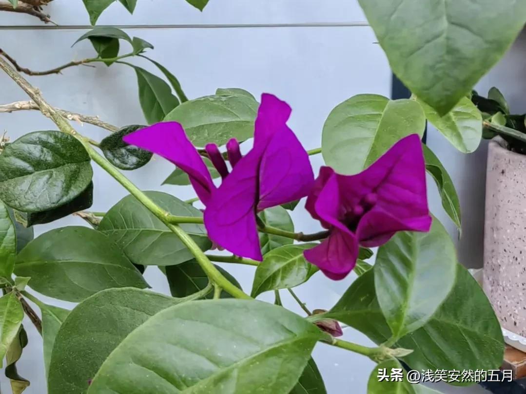 全职家庭主妇怎么攒私房钱,家庭主妇攒多少私房钱