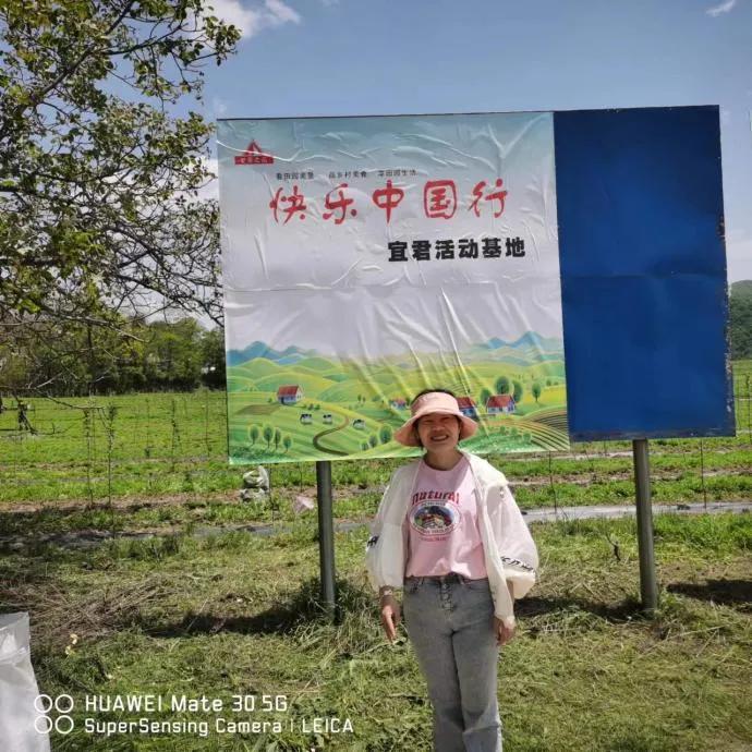 山东养心菜种植基地,河南养心菜种植基地