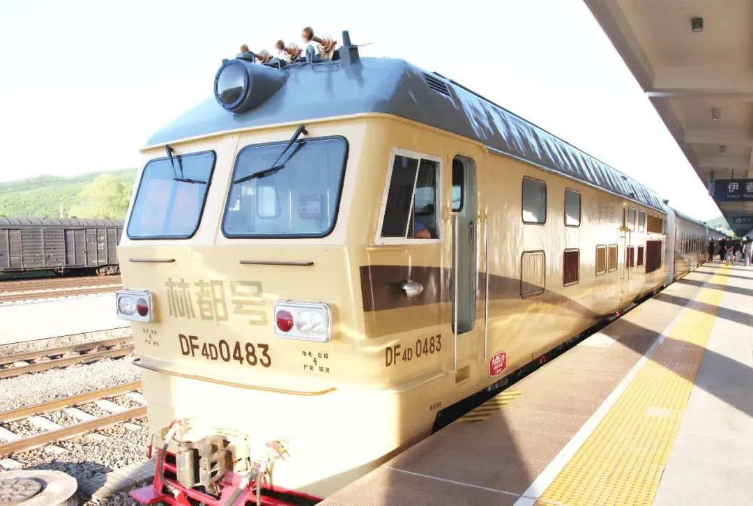 音乐酒吧、茶室、儿童游乐室、图书室……“林都号”获赞轨道上的“星级游轮”