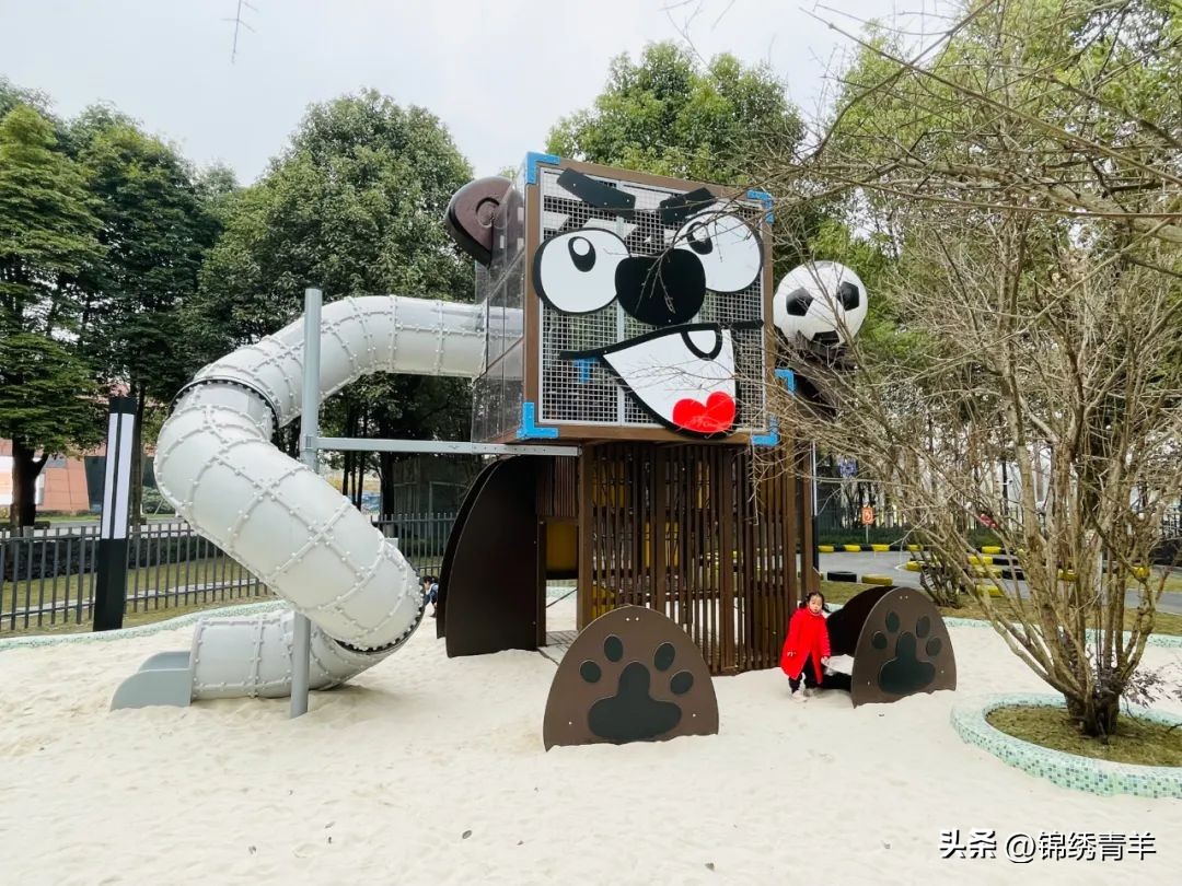 今天，你在哪里晒太阳？走！一起户外撒欢！