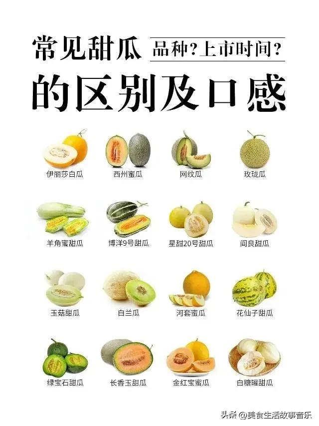 甜瓜熟度最好的品种,甜瓜品种科普图解