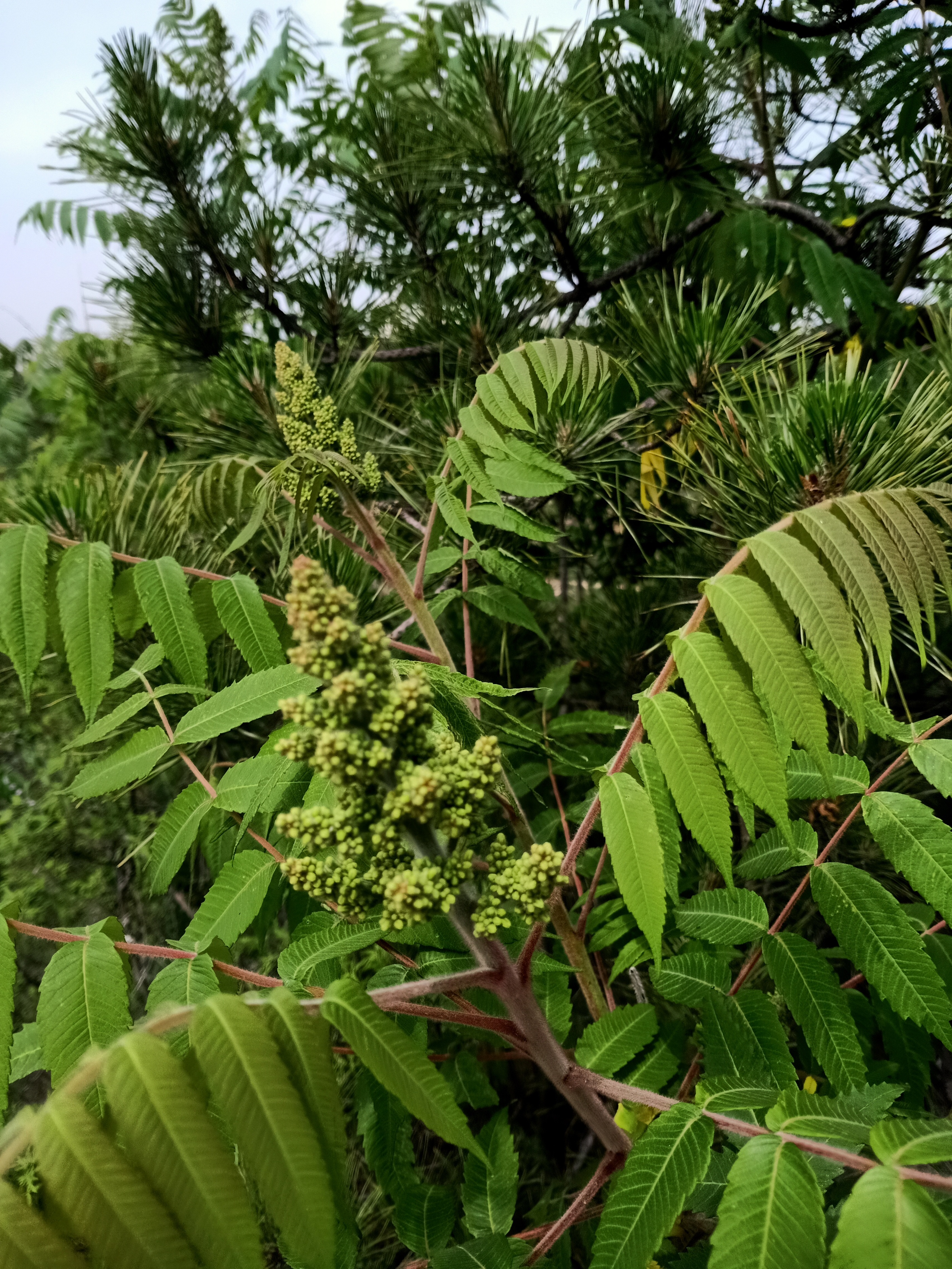 系统，规则不复杂，复杂的是人心，执行规则时想得太多