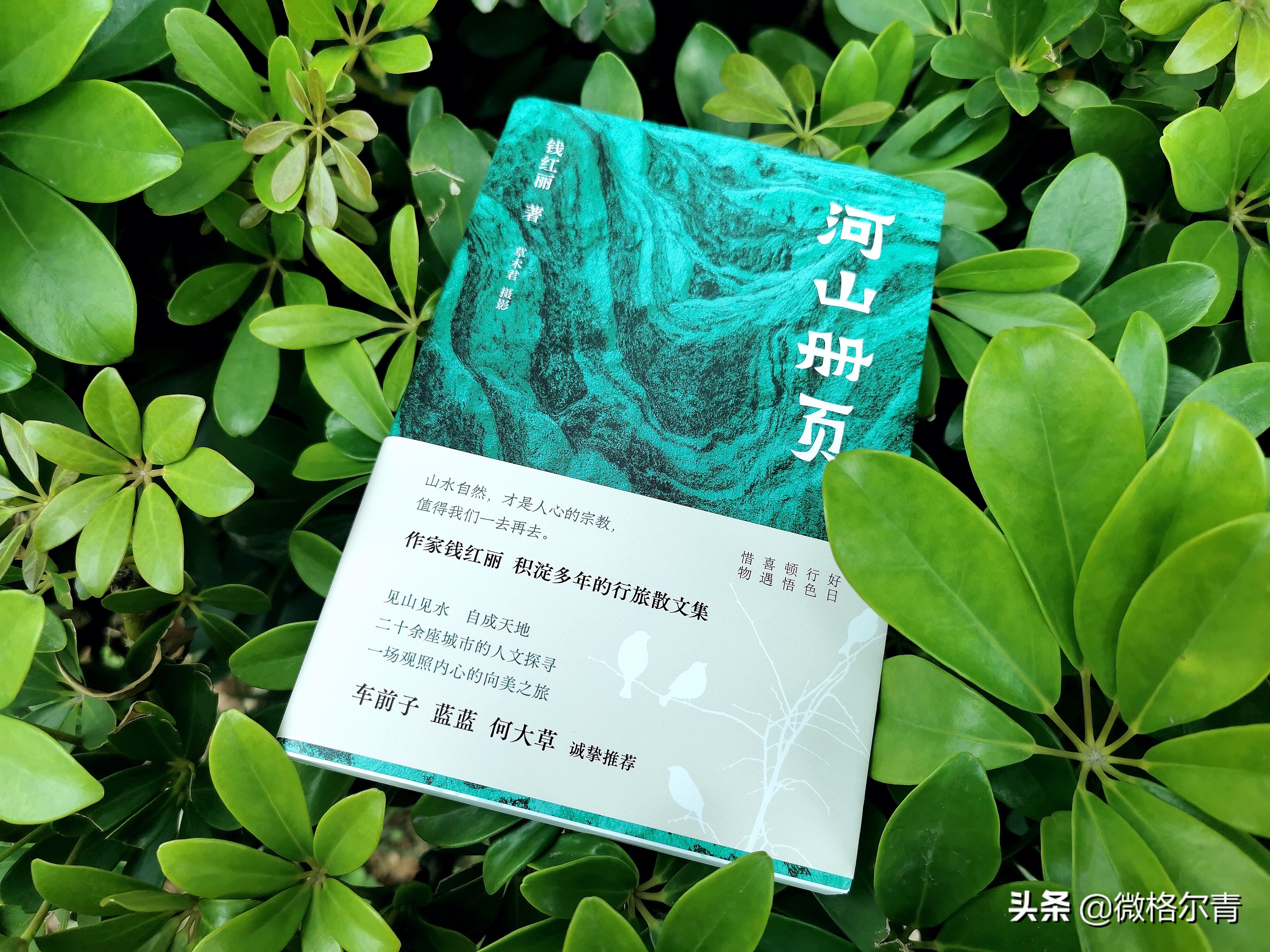 娌冲北鍐岄〉姣忕瘒瑙ｈ,娌冲北鍐岄〉