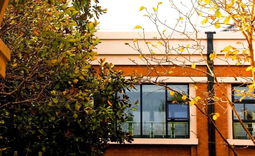 上海华东政法大学介绍与发展历程,华东政法大学上海政法学院