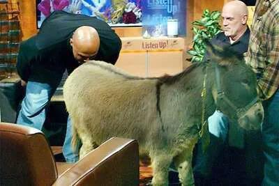 nba最有激情的解说,nba国外解说原声爆燃