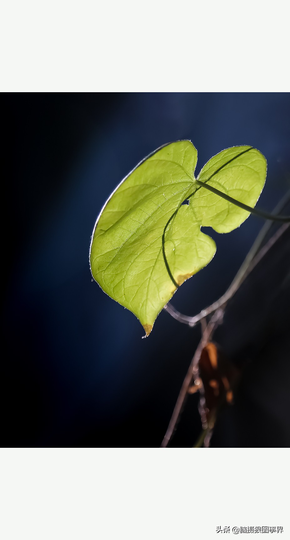 掌握的20个摄影构图法,拍摄照片常用的四种构图是哪几个