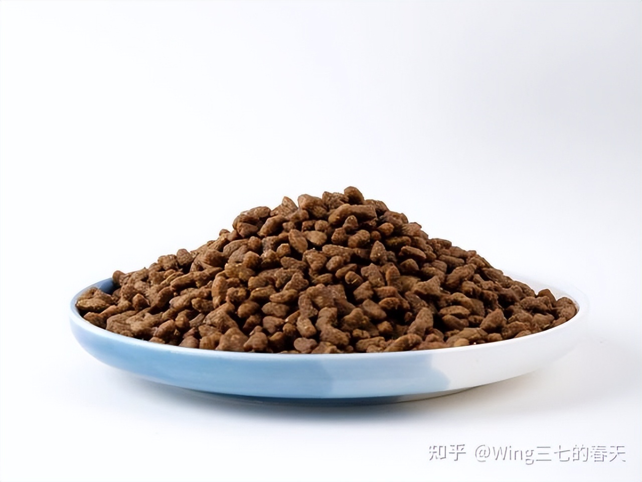 如何给猫咪挑选猫粮,怎么选适合猫咪的猫粮