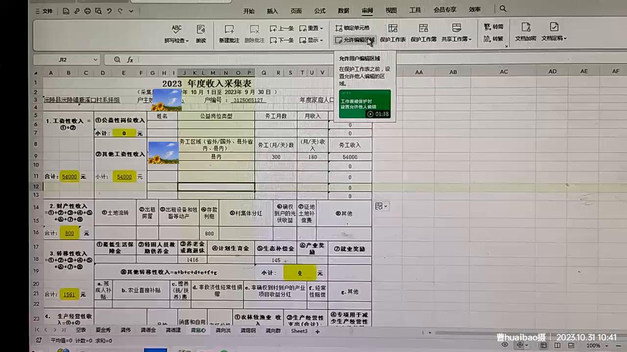 电子表格单元格如何设置限制修改,电子表格如何锁定单元格