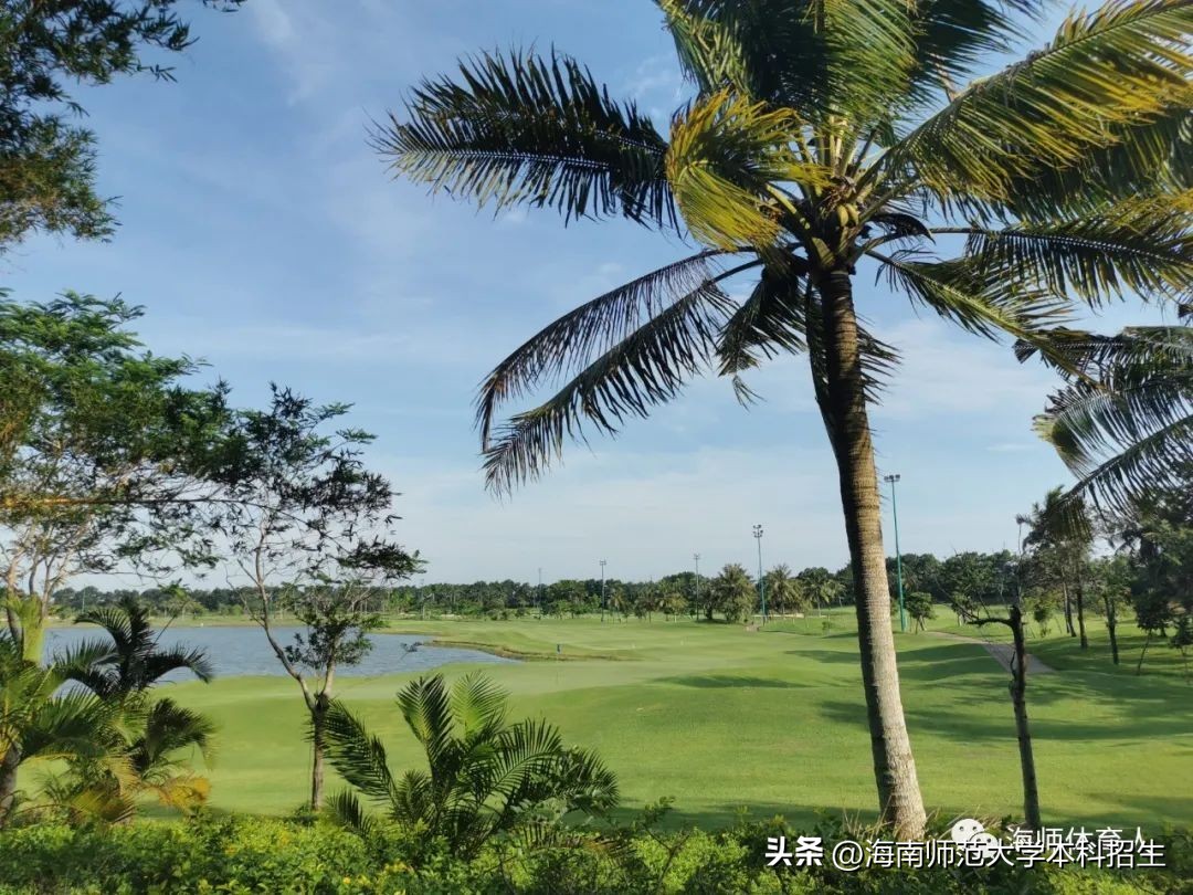 首次！最高级别！海南硬核球队拿下全国冠军，4人获国家一级