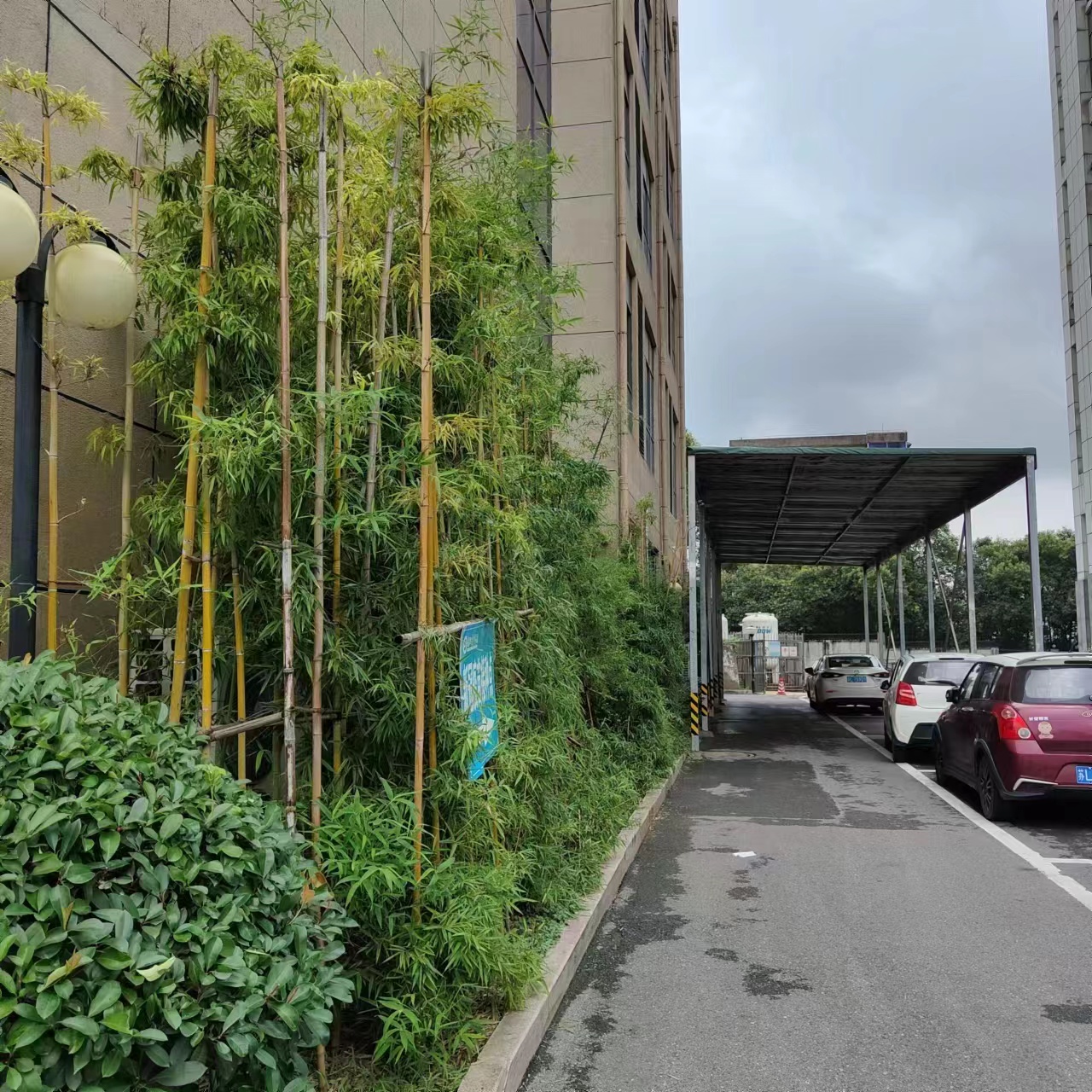 镇江卫健委24小时热线,热线追踪平台