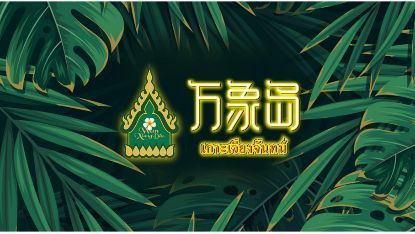 泰式奶茶品牌集合,泰式奶茶牌子推荐