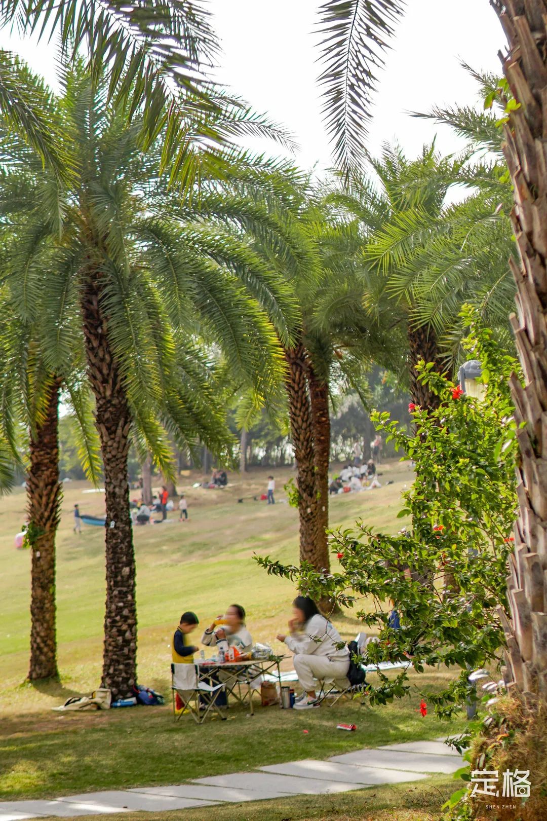 不输大小梅沙！深圳这片海太惊艳