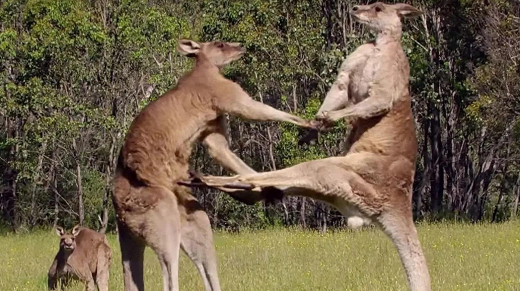 世界最罕见的女人图片高清,最罕见的30张照片女性