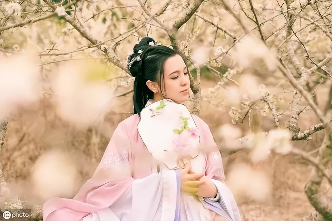 赏花最好的十首诗,看花发朋友圈的绝美诗句