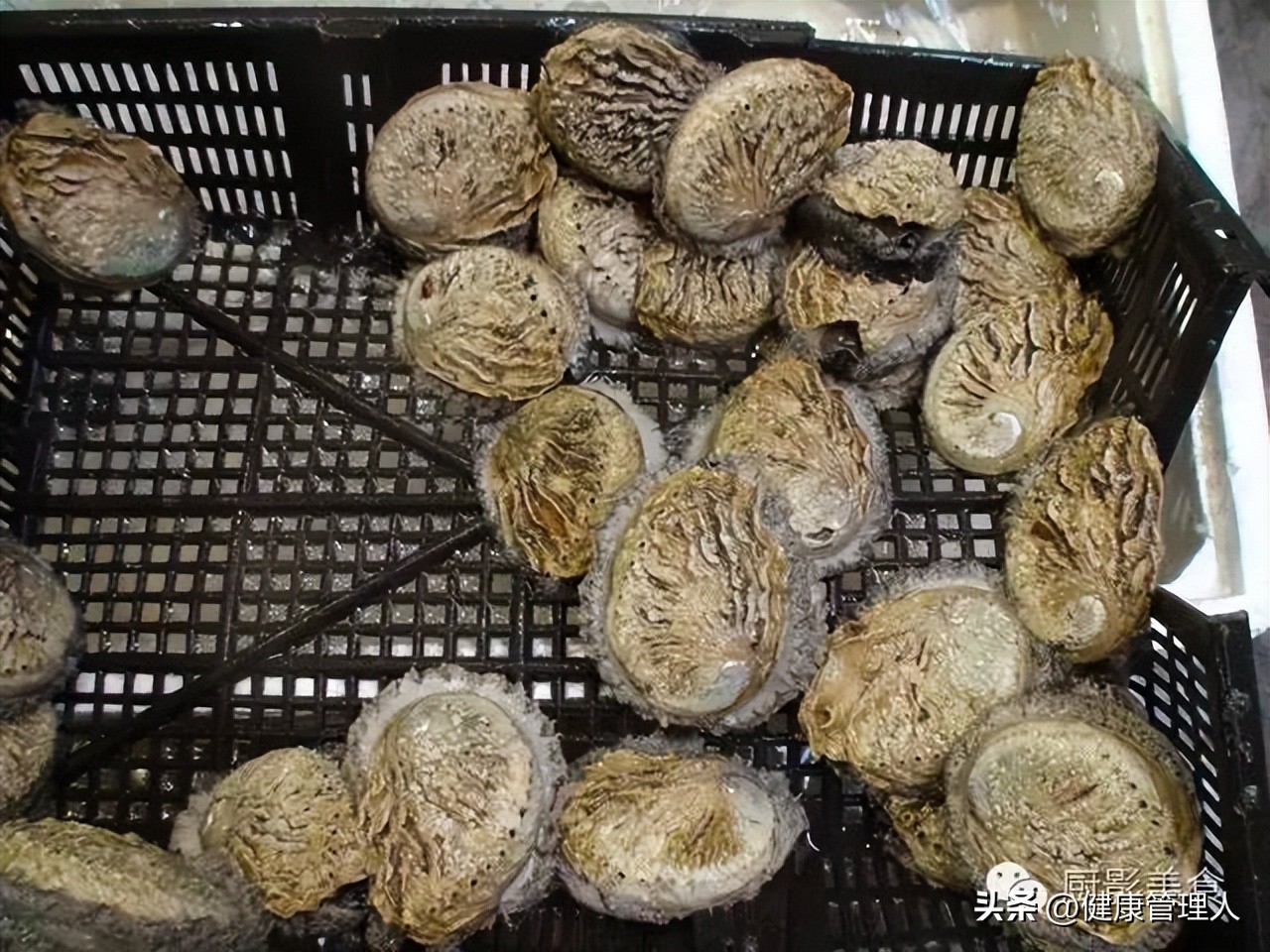 海鲜贝类品种大全及名字,22种海鲜贝类做法大全